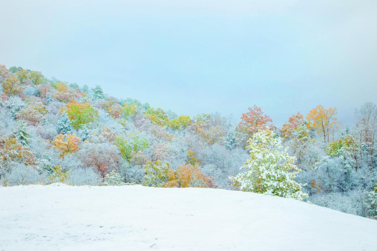 Leconte Mountain Breeze Gatlinburg Exterior photo